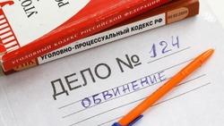 Бастрыкин затребовал доклад по делу о присвоении выплат инвалидов на Ставрополье
